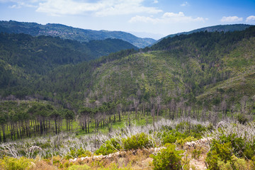 Wild mountain landscape. South of Corsica island