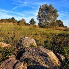 Warmiński jesienny pejzaż z głazami © Tomasz Niewęgłowski