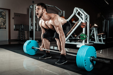 Fototapeta premium Muscular Man