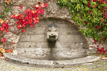 Fototapeta na wymiar Red and green ivy cover the arch of an antique fountain