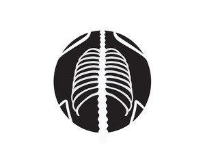 X-Ray, Radiation, Chest, Ribs, Spine, And Breast Bone