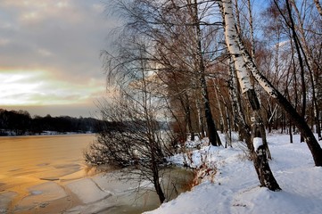 Winter sunset, birchwood, Moscow region, Russia.