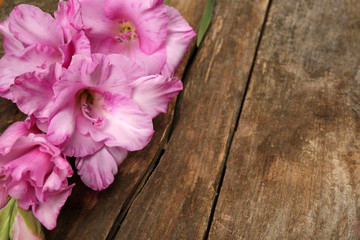 Beautiful gladiolus on wooden background