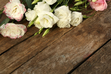 Beautiful eustoma on wooden background