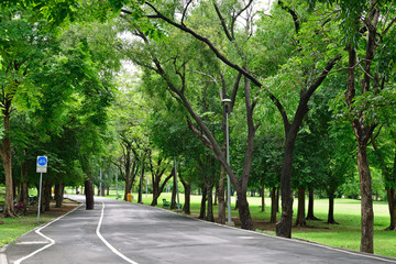 Fototapeta premium City park at Vachirabenjatas Park (Rot Fai Park) Bangkok, Thailand