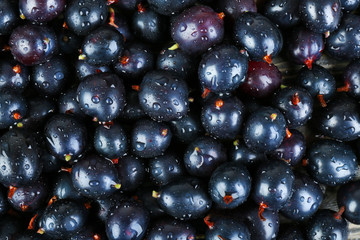 Heap of wild black currant close up