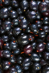 Heap of wild black currant close up