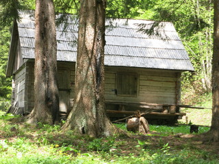 Домик лесника