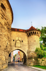 Fototapeta na wymiar The Great Coastal Gate in Tallinn - Estonia
