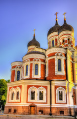 Fototapeta na wymiar Saint Alexander Nevsky Cathedral in Tallinn - Estonia