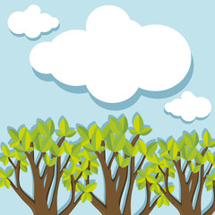 Obraz premium Evergreen forest at daytime