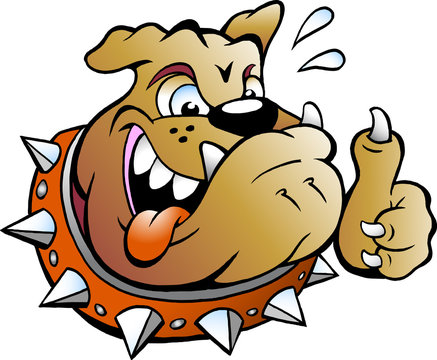 Vector Cartoon illustration of an excited Bull Dog giving Thumb Up