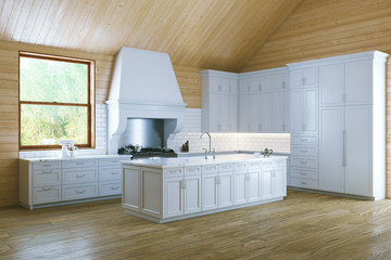 Morning in Stylish White Classic Kitchen
