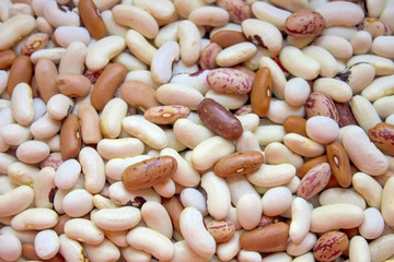 Haricot bean  background.