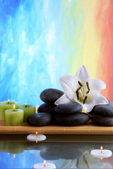 Still life with spa stones on colorful background