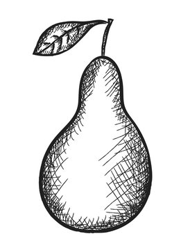 doodle pear