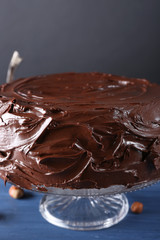 savory chocolate cake closed up on blue background