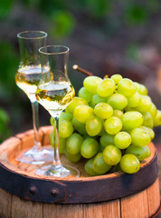 White wine bottle, glass, young vine and bunch of grapes against