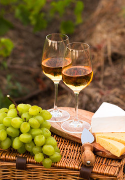 Various sorts of cheese, Two glasses of white wine in the garden