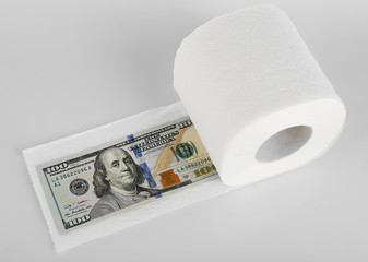 White roll of toilet paper and dollar banknote isolated on white