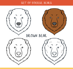 Brown grizzly bear. Set isolated face, heads bear in lines
