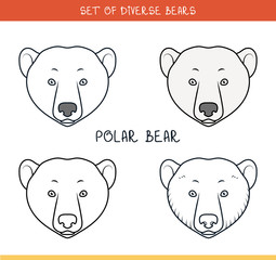 Polar bear. Set isolated face, heads bear in color, lines