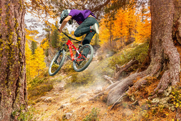 discesa con MTB in autunno © Silvano Rebai