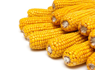 mature corn close up on a white background