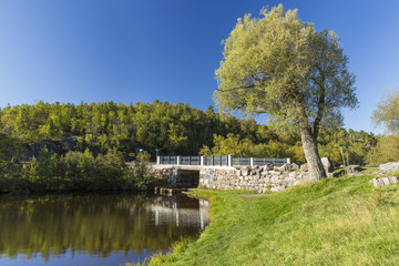 Fototapeta premium Duluth Twin Ponds / A bridge crossing over two ponds.