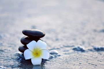 Fototapeta na wymiar Spa stones with flower on sea beach outdoors