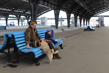 Obraz na płótnie Canvas Mom with son and dog travel by train 