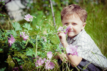 portrait of a little boy with wildflowers
