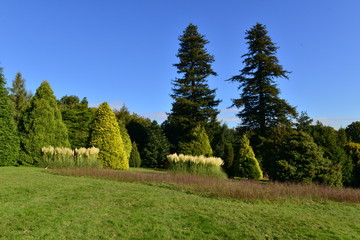 Fototapeta na wymiar An English country garden in the Autumn