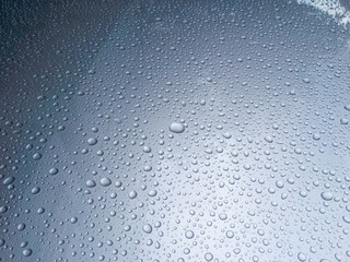 Beauty of the rain drops.