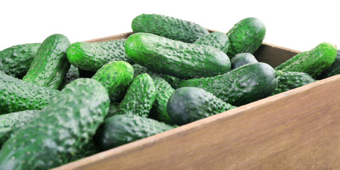 Ripe cucumbers in wooden box isolated on white