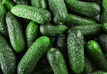 Ripe cucumbers closeup