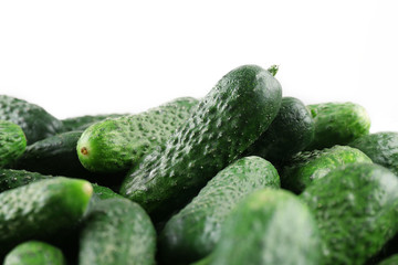 Ripe cucumbers on light background closeup
