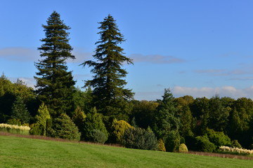 Fototapeta na wymiar An English country estate in Autumn/Fall