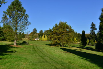 Fototapeta na wymiar An English country estate in Autumn/Fall