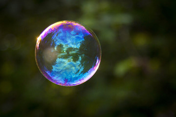 Reflection in soap bubble