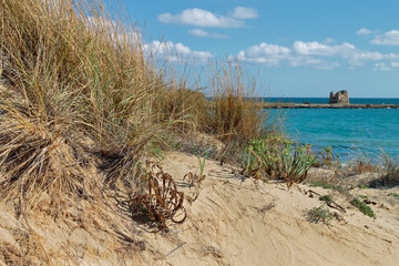 Coastal dunes of Salento, Apulia, Italy