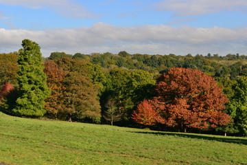 An English country estate in Autumn/fall
