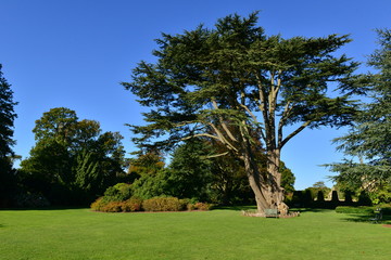 Fototapeta premium An English country estate in Autumn/fall 