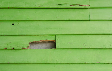 green wooden wall