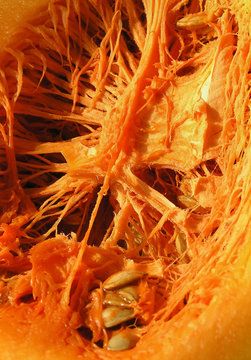 Abstract background of pumpkin guts