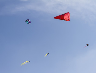 sky full of kites
