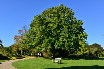 Fototapeta na wymiar A garden at an English country estate in Autumn