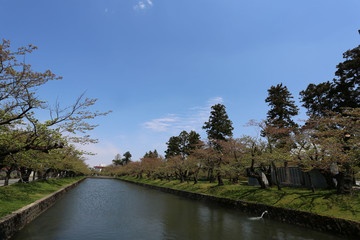 Fototapeta premium 鶴ヶ岡城の堀