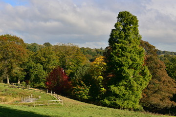 Fototapeta na wymiar An English country garden in the Fall