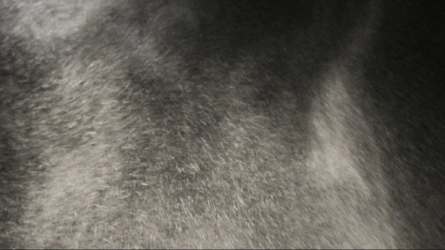 Snow Blizzard snow particles blowing ferociously on a black  background.